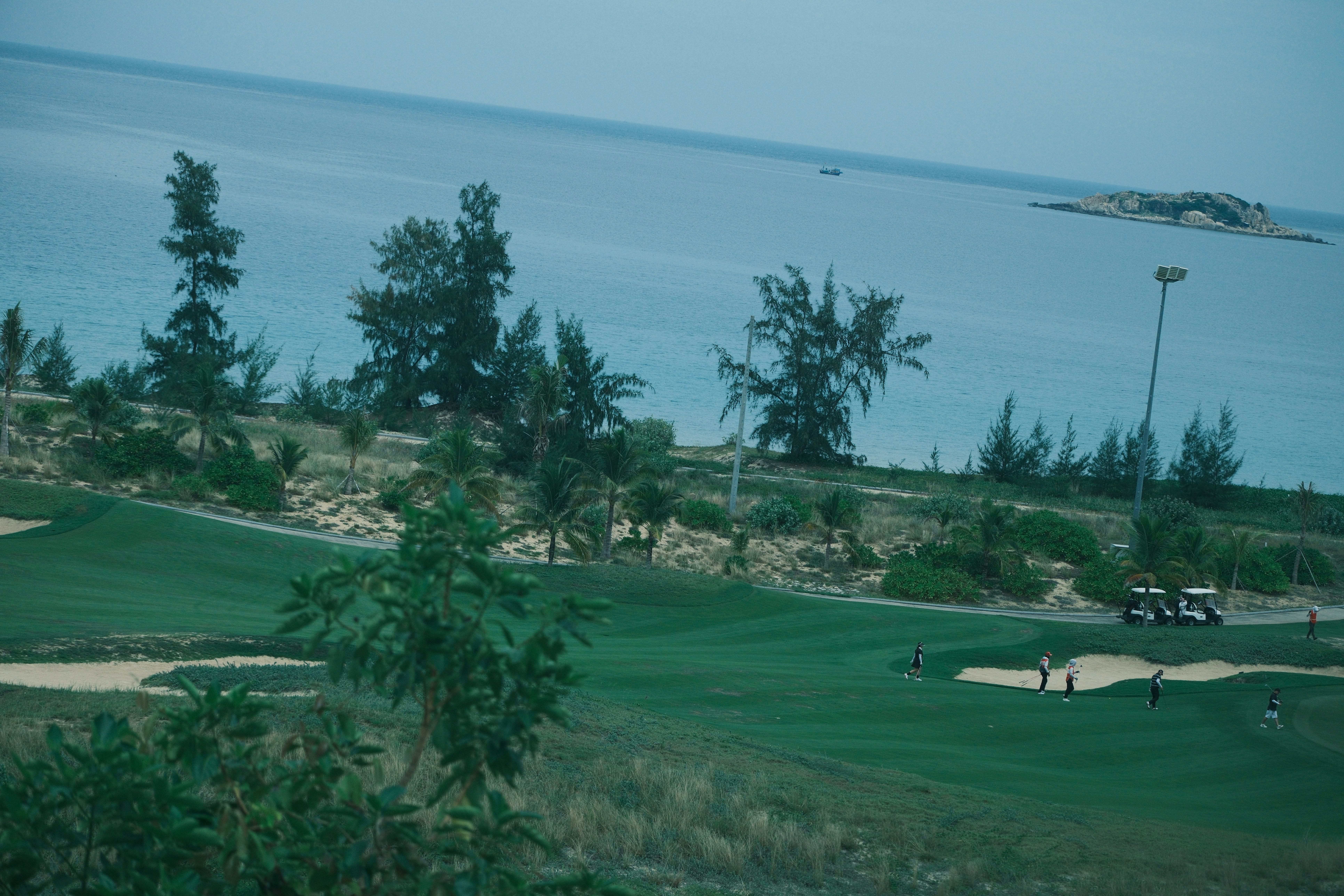 Bo Nicholson - Coastal Golf